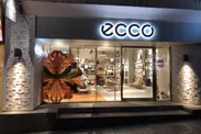 超レアコレクションを取り扱う『ECCO 表参道店』