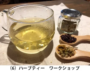 (6)ハーブティー ワークショップ
