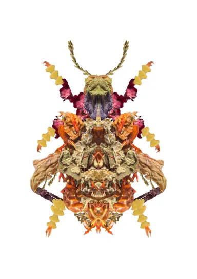 井上拓海(日本、1992)《Lif-e-Motion「モモブトオオルリハムシ(Sagra buqueti)」》2018　(C)Takumi Inoue