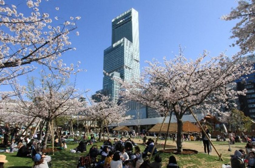 天王寺公園エントランスエリア「てんしば」
２０１９年度の年間入園者数は約５００万人に
～昨年度に引き続き、過去最多を更新しました～