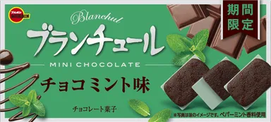 ブランチュールミニチョコミント
