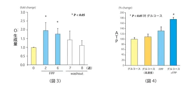 (図3)FPPによる2型糖尿病患者の呼吸バーストの誘導 (図4)FPPによるATP産生の誘導