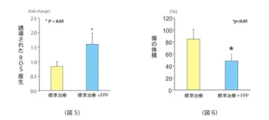 (図5)FPP摂取によるROS産生の誘導 (図6)FPP摂取によるヒト慢性創傷の治癒促進