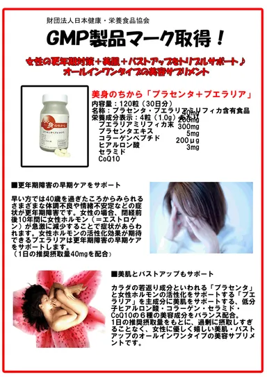 GMP製品マーク取得の説明書