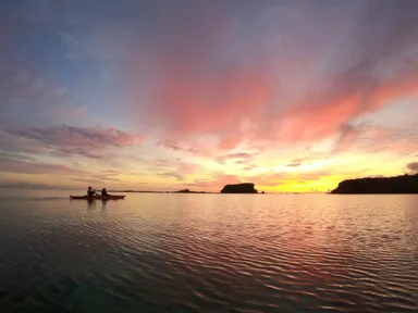 西表島での「Us4 IRIOMOTEエシカルツアー」体験