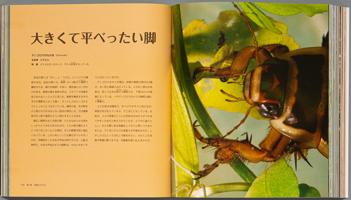 ビジュアル 世界一の昆虫 コンパクト版 発売中 日経ナショナル ジオグラフィック社のプレスリリース
