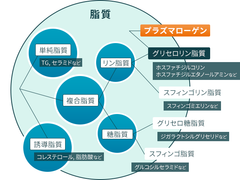 認知症改善で結果が出ている「ホタテ由来プラズマローゲン」、パーキンソン病症状への効果が世界的医学誌に掲載