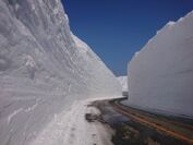 立山黒部アルペンルート、2020年の「雪の大谷」の高さは15mを記録！