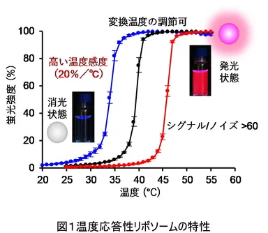 図1 温度応答性リポソームの特性