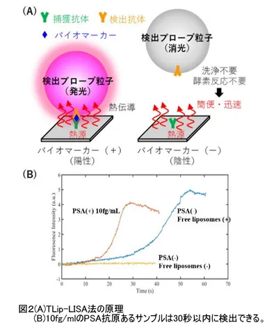 図2 (A)TLip-LISAの原理、(B)10fg／mlのPSA抗原あるサンプルは30秒以内に検出できる