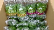 小林クリエイト、自社植物工場の野菜を静岡県内の児童養護施設と老人ホームに無償提供