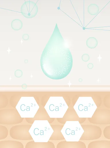 サインリアクト イメージ画像