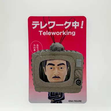 単品(テレワーク中)