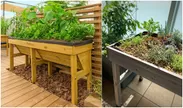 家庭菜園を手軽に始めることができるイギリス発祥の木製コンテナ、「ベジトラグ」シリーズイメージ