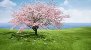 桜樹木葬
