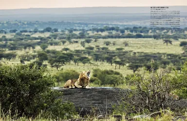 『ナショナルジオグラフィック　いちばん美しい世界の絶景遺産』