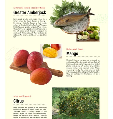 「旅色 -肝付町［鹿児島県］-」の英語翻訳版第二特集2