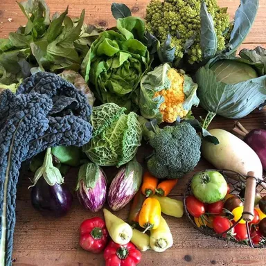 おしゃれな西洋野菜も自宅で食べられます