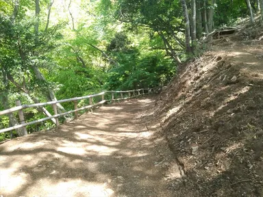 散策路(森林・運動療法)1