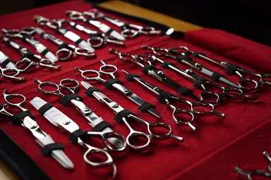 もらえるシザーレンタルイメージ