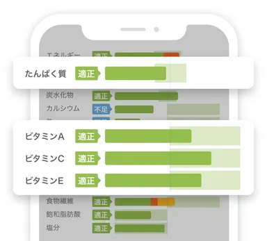 栄養素フォーカス