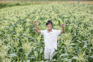 農産物直売所「伊豆・村の駅」　伊豆の生産者様を守り地域農業を活性化するためクラウドファンディングを6月11日(木)まで実施
