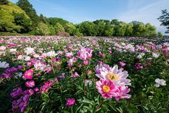 園内の風景