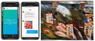 スーパーのリクエスト発信画面／産地からの提案メッセージ／高級魚が並ぶ鮮魚コーナー