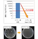 黄色ブドウ球菌のオゾン水スプレー前後の菌数(上)と写真(下)