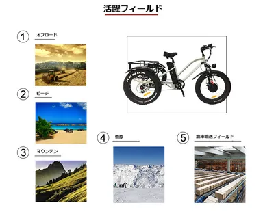 フィールド紹介
