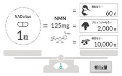 NADaltus1粒に含まれるNMNの換算相当量