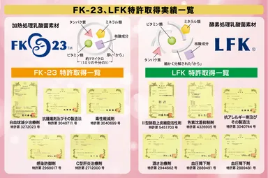 FK-23、LFK特許取得実績一覧