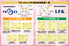 FK-23、LFK特許取得実績一覧