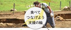 売上800万円達成のパイナップル農家が早くも発生！生産者を助ける応援販売サイトが5月21日に本オープン