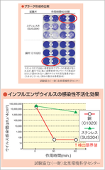img_213195_10.png