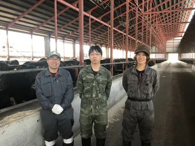 ノベルズスタッフ