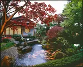 開放感ある日本庭園