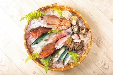 (1)季節の海の幸セット