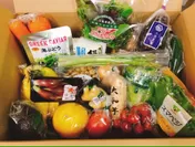 産地応援プロジェクト　取扱商品例　野菜ソムリエ詰合せセット