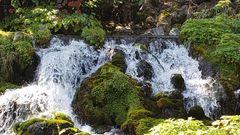 北海道羊蹄山の名水は柔らかくまろやか