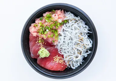 おっきい魚とちっさい魚丼