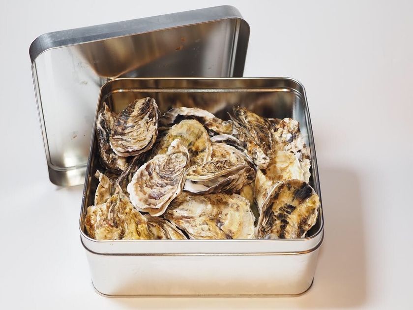 フードロス削減に貢献。
「久美浜産牡蠣」、京のブランド産品「丹後ぐじ」などをご家庭へお届け！
「GOOD NATURE産地直送便」を開始いたします