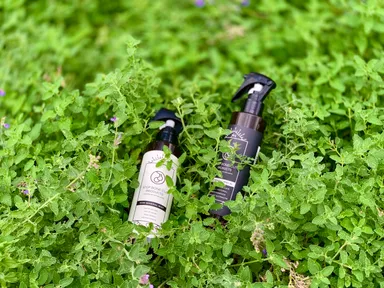 代表商品の小顔ミスト