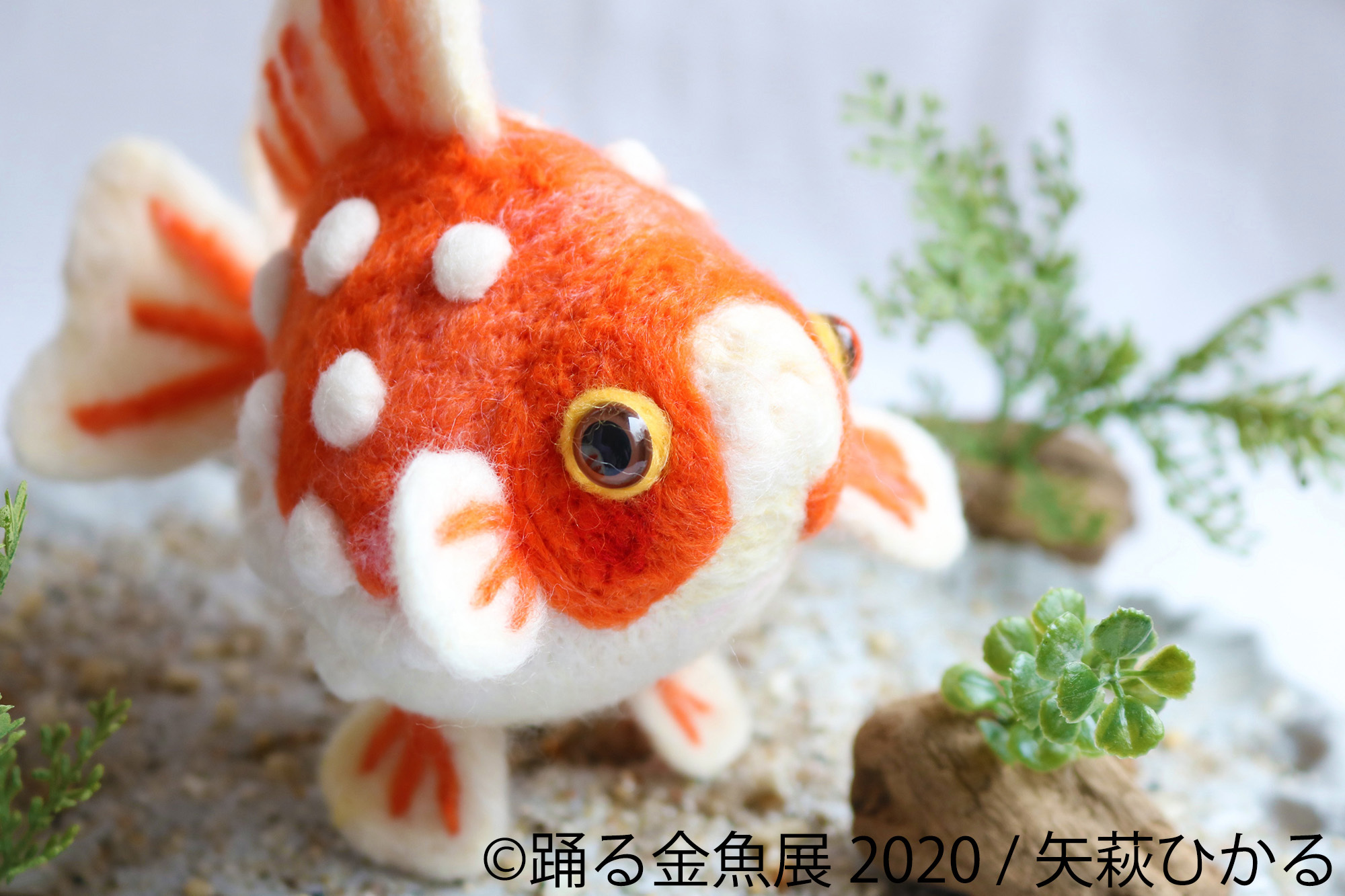 夏の風物詩 金魚 の優雅で美しい作品は 涼 と 癒し を感じる 踊る金魚展 が6月から東京 名古屋で開催 新作多数 株式会社baconのプレスリリース