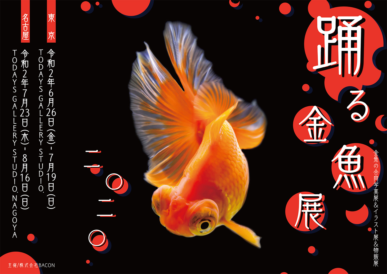 夏の風物詩 金魚 の優雅で美しい作品は 涼 と 癒し を感じる 踊る金魚展 が6月から東京 名古屋で開催 新作多数 株式会社baconのプレスリリース