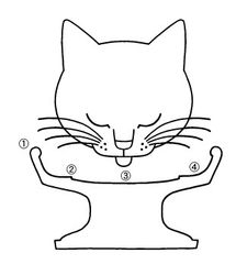 HASAMIペット食器(3)
