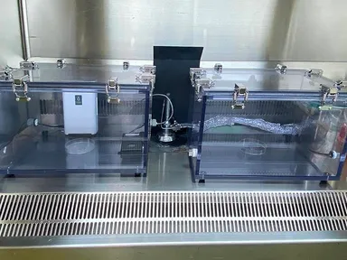 新型コロナウイルス 不活化確認