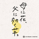 腸活KIKUIMOシリーズ(数量限定)　6月1日より父の日ギフトセット予約販売開始