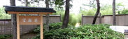 6千坪の数寄屋庭園と、120種以上のコレクションを誇る笹植物園【笹離宮】を無料開放