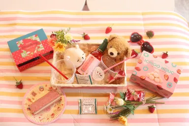 ボンボンピクニックBOX